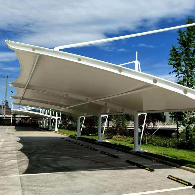 泌阳县膜结构汽车棚